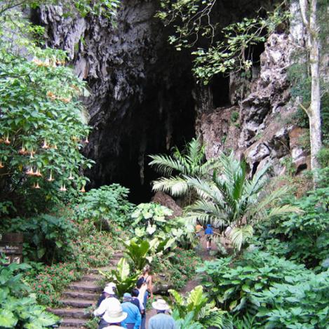 Cueva del Guácharo, Venezuela