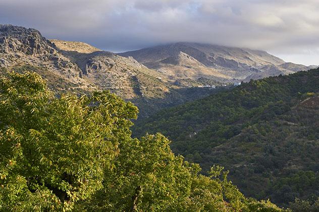 Valle del Genal y Serranía de Ronda, Málaga, Andalucía, España
