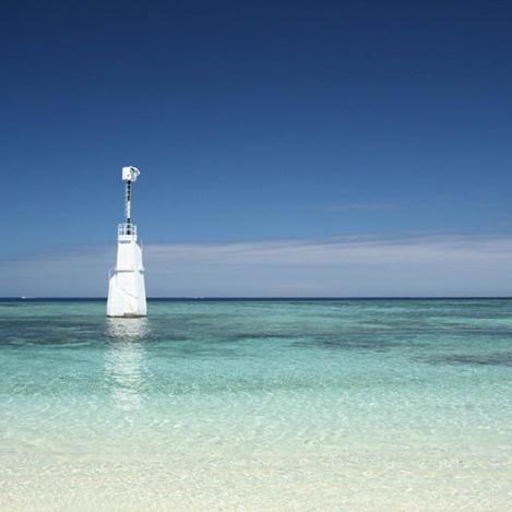 Faro Armedée, Numea