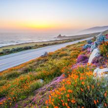 Costa del Pacífico, Pacific Coast Hwy, Big Sur, California, Estados Unidos