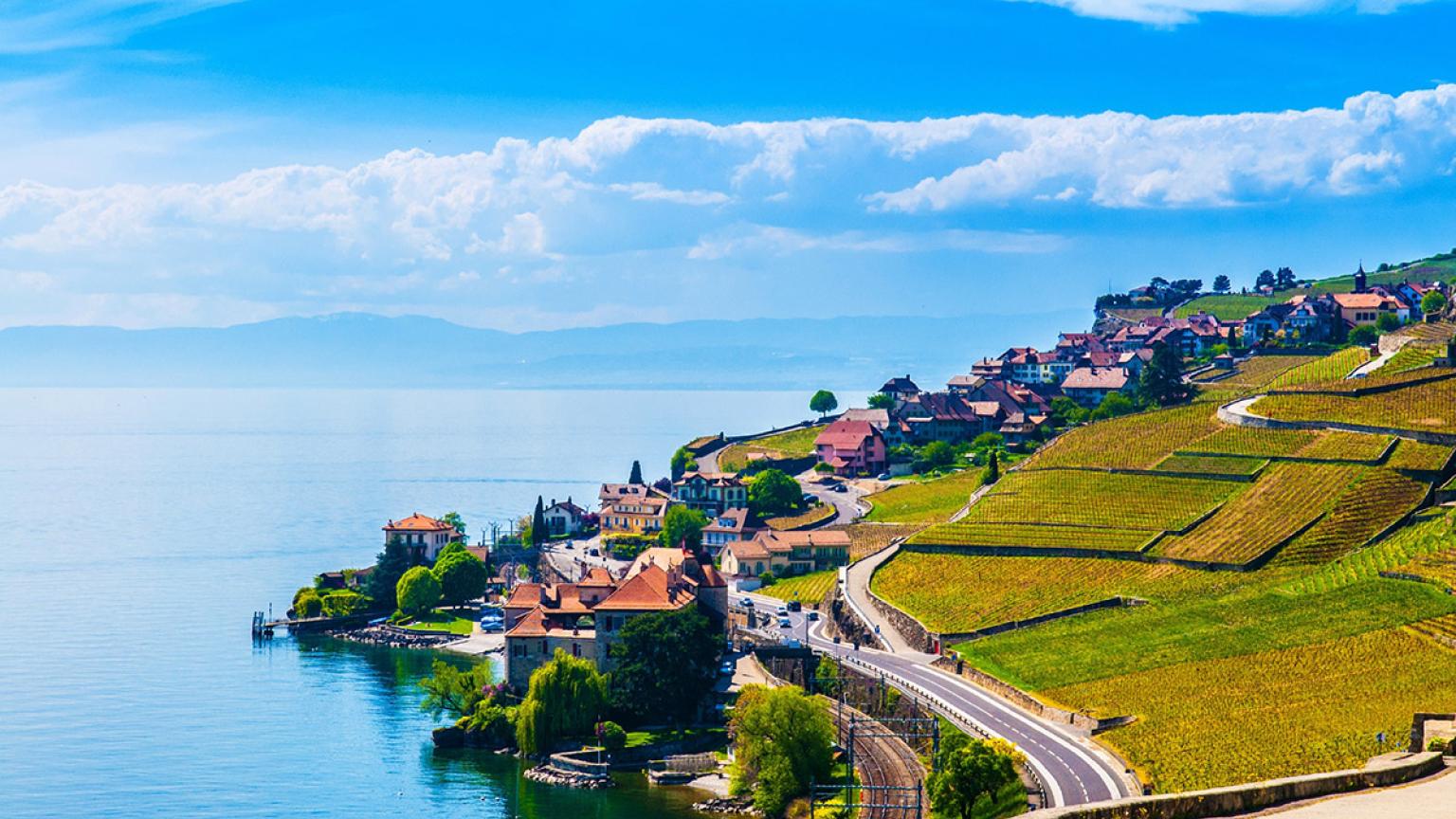 Los viñedos de Lavaux, declarados Patrimonio Mundial, junto al lago Lemán, alrededores de Vevey, Suiza