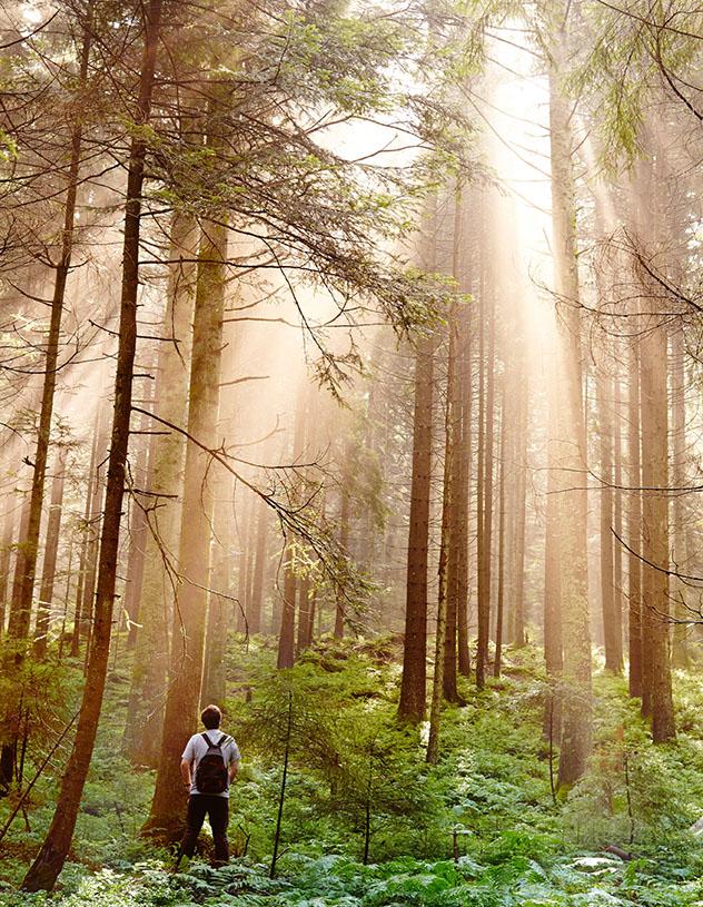 Alemania: la Selva Negra