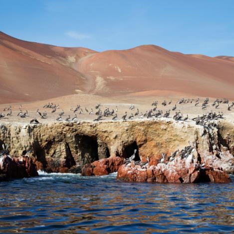 Islas Ballestas, Perú