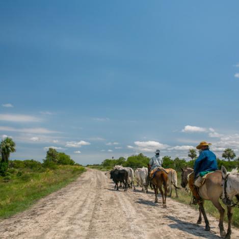 El Chaco, Paraguay