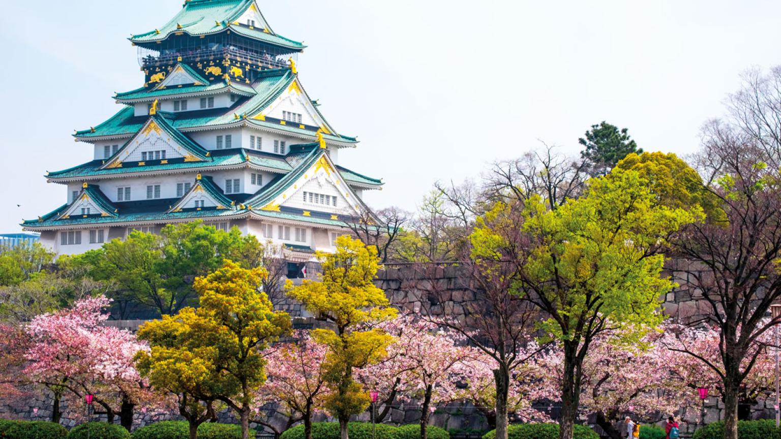 Castillo de Osaka en la primaveral temporada de 'sakura' (floración de los cerezos)