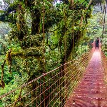 Selva de Costa Rica