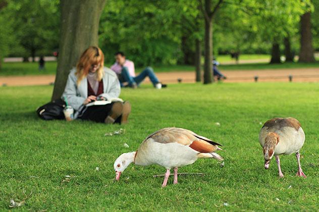 Hyde Park, Londres, Inglaterra © Yana Yushkevich / Shutterstock