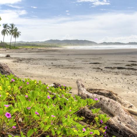 Playa Guiones, Nosara, Costa Rica