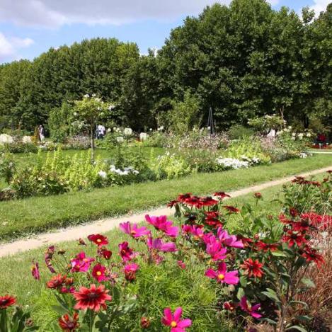 Jardin des plantes, París, Francia