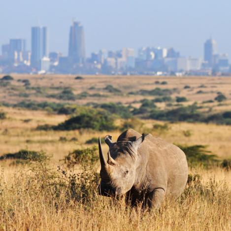 Nairobi, Kenia