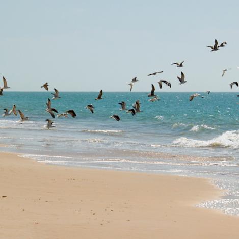 Parque Nacional del Banc d'Arguin, Mauritania