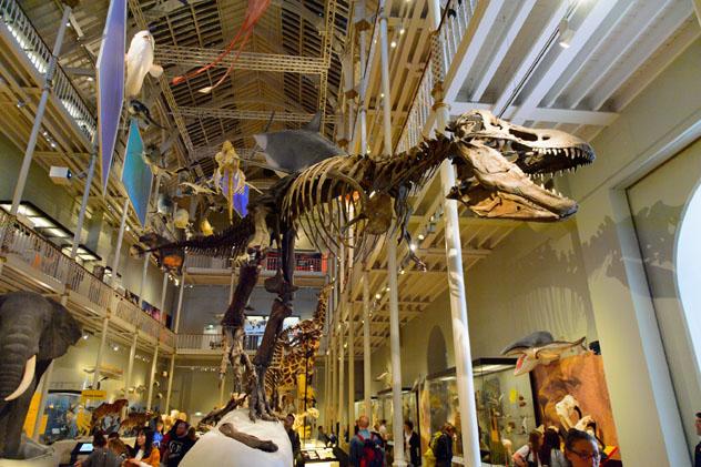 El National Museum está lleno de tesoros fascinantes, Edimburgo, Escocia, Reino Unido © Anton Ivanov / Shutterstock
