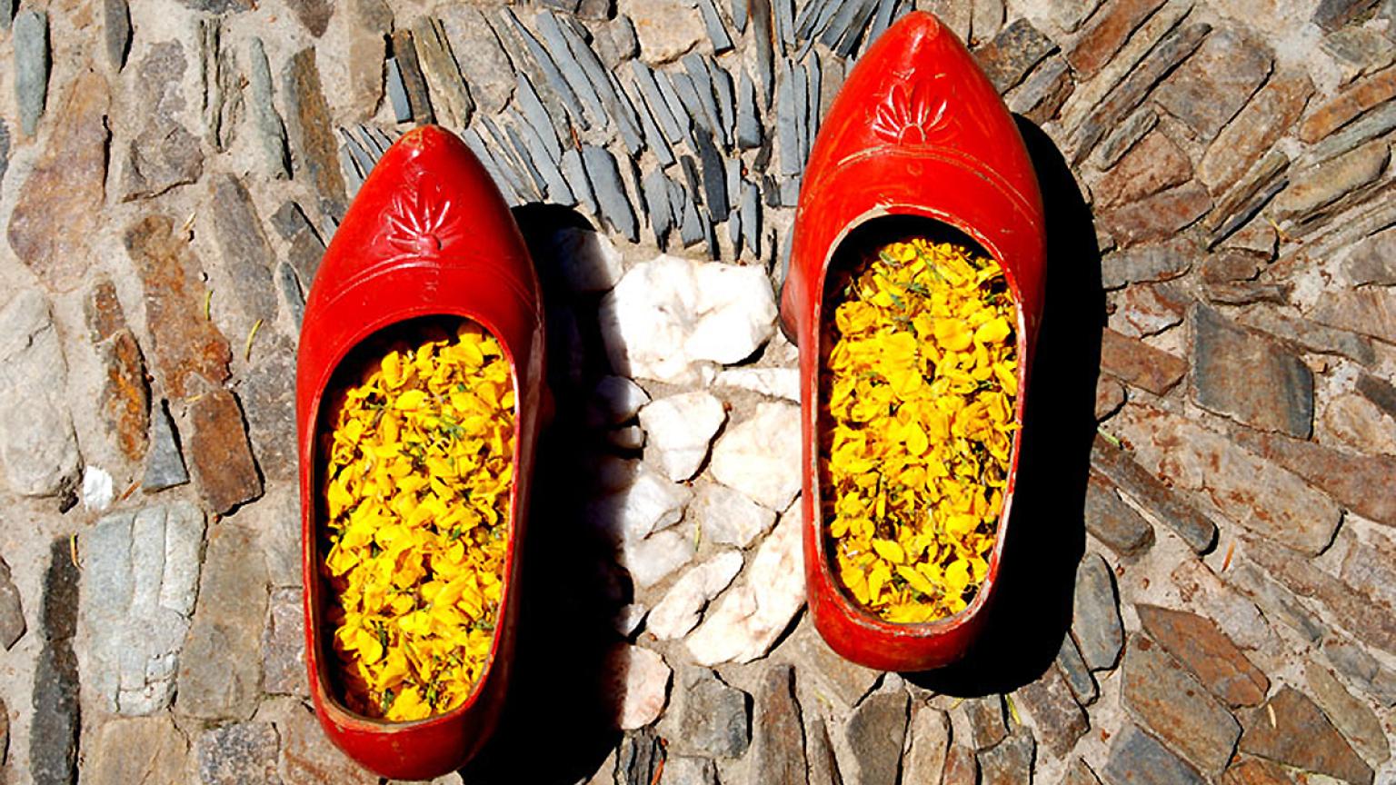 Mil Madreñas Rojas, Salientes, León, España