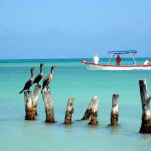 Isla Cozumel, Riviera Maya, México