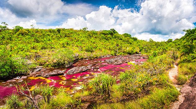 Caño Cristales, el río más llamativo del mundo, Colombia