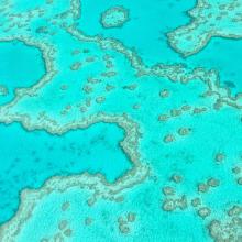 La Gran Barrera de Coral vista desde el cielo cerca de las islas Whitsunday, Australia