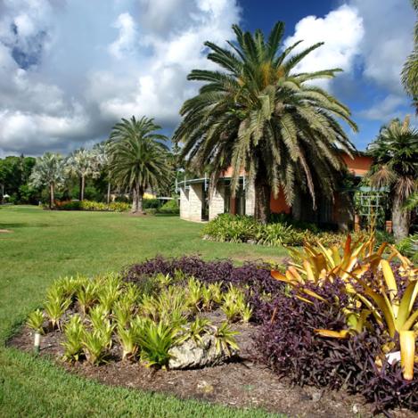 Fairchild Tropical Garden, Miami, Florida, EE UU