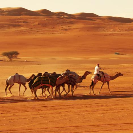 Desierto de Sharqiya, Omán