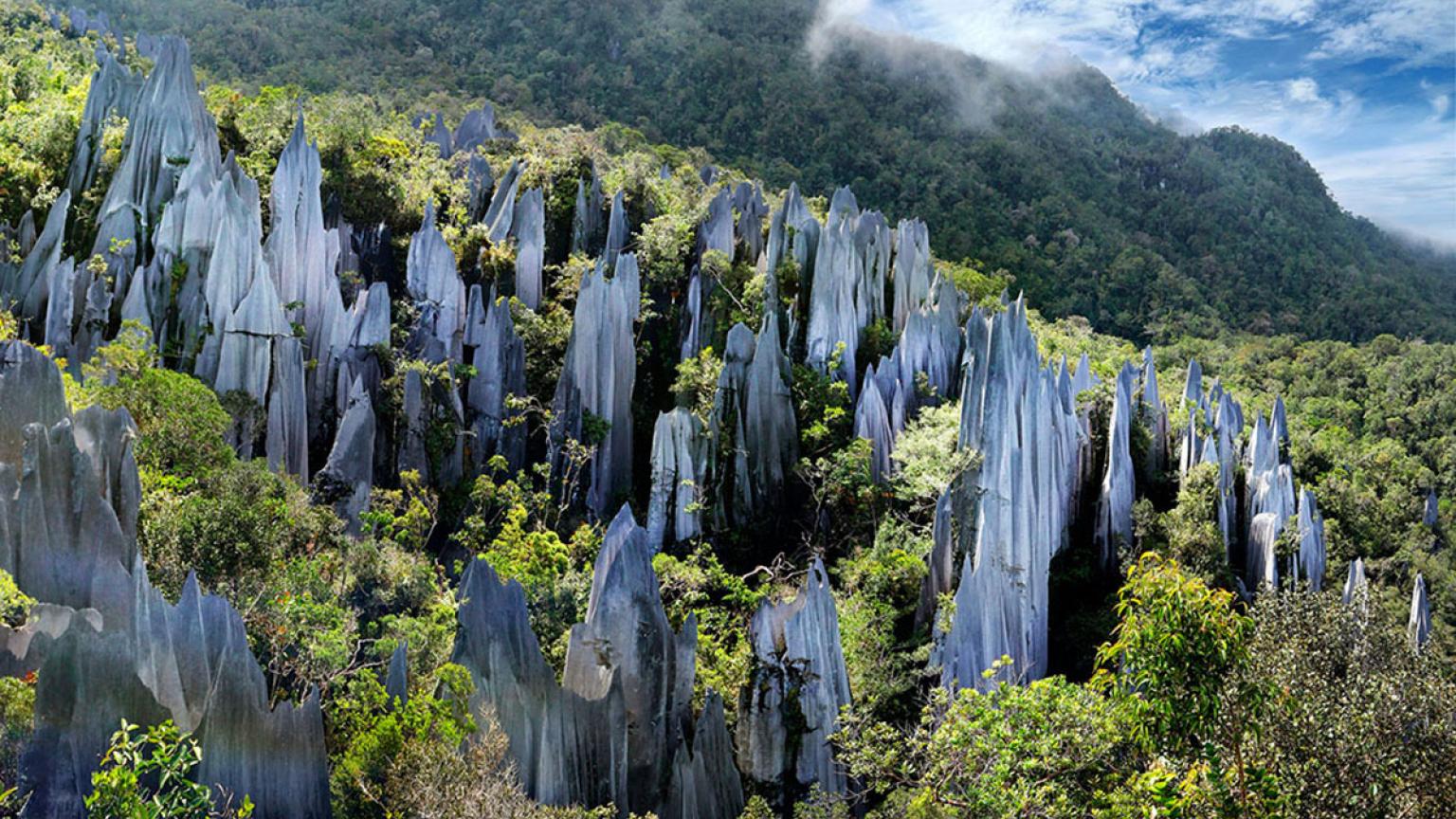 Parque Nacional de Gunung Mulu, Malasia