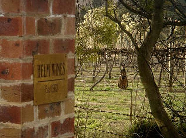 Helm Wines, Canberra, Australia © www.helmwines.com.au