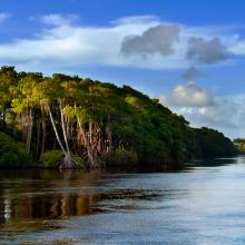 Trinidad y Tobago