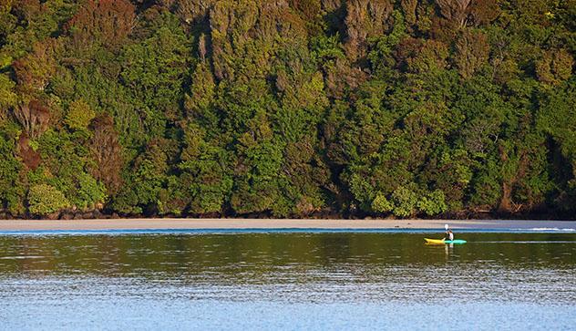 Isla de Stewart, la isla diferente de Nueva Zelanda