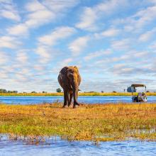 Parque Nacional de Chobe en Botsuana