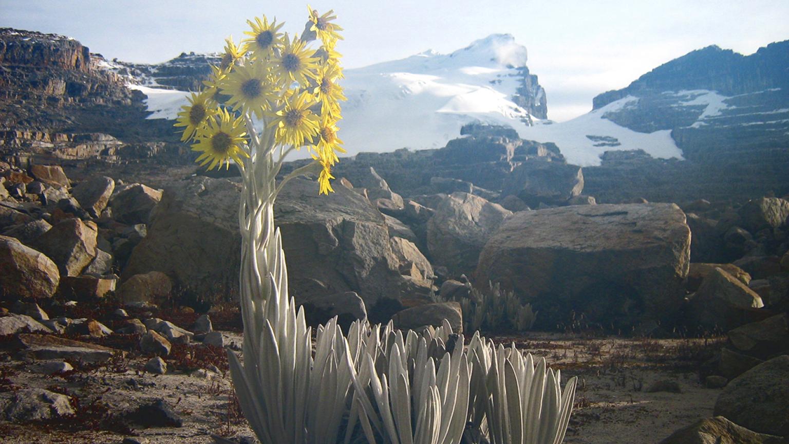 PNN de El Cocuy, Colombia