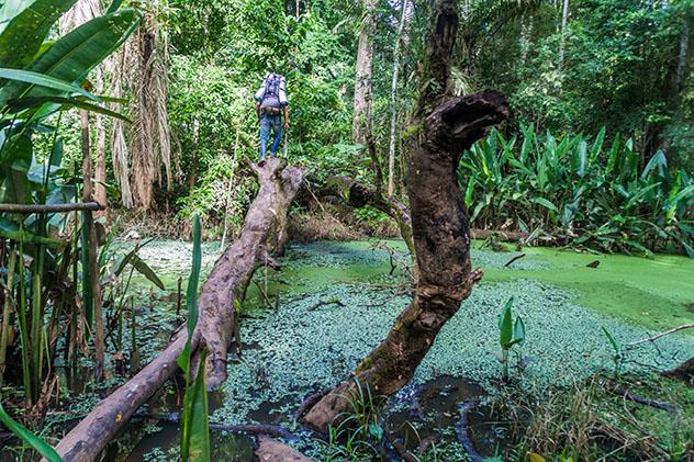 Viajar de la mano de guías locales, Parque Nacional Madidi, Bolivia. Viaje sostenible Lonely Planet