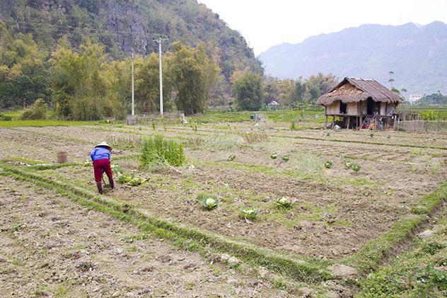 Familia thai, Mai Chau, Vietnam © photoNN / Shutterstock