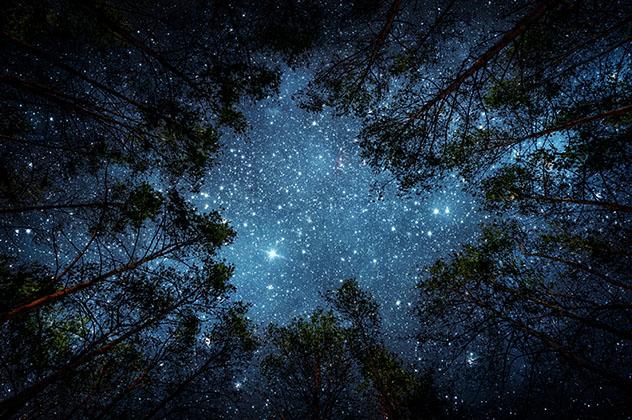 Observación de cielos oscuros en la naturaleza