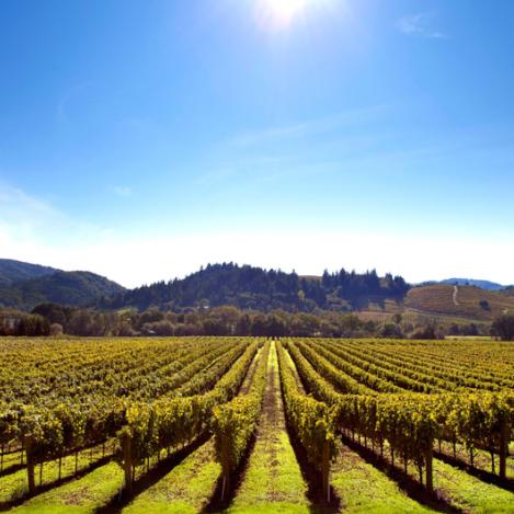 Valle de Sonoma, California, Estados Unidos