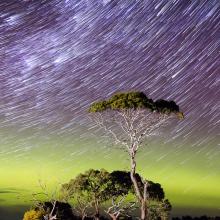 Astrofotografía de la Vía Láctea y cielo oscuro