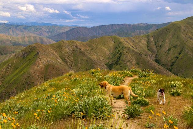 Boise, Idaho, EE UU © CSNafzger / shutterstock