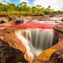 Caño Cristales, Colombia, una de las maravillas del mundo