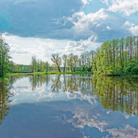 Parque Nacional Belovezhskaya Pushcha, Bielorrusia