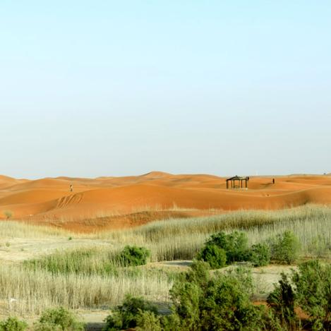 Oasis de Al-Ain, Emiratos Árabes Unidos