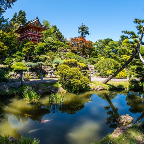 Golden Gate Park, San Francisco, Estados Unidos