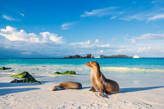 Ecuador: la isla Española en las Galápagos