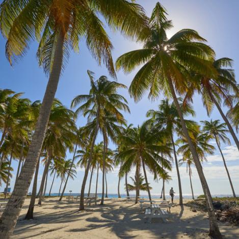Half Moon Caye, Belice