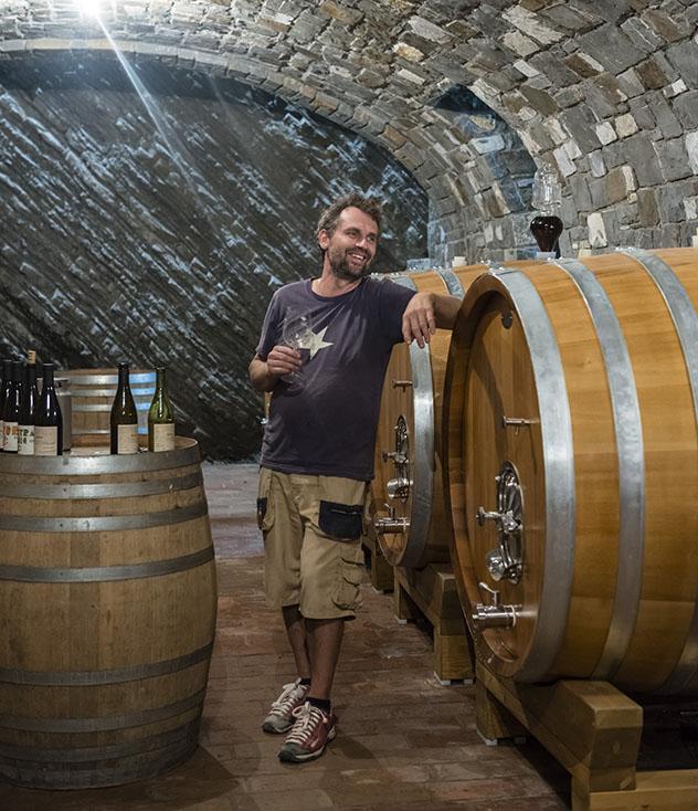 Eslovenia: cata de vinos en la finca Burja