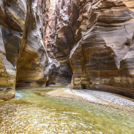 Reserva de la Biosfera de Mujib, Jordania