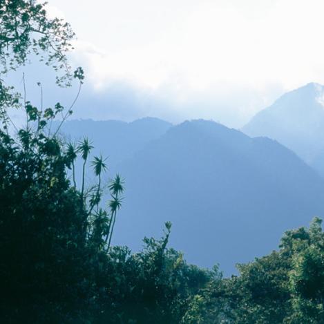 Parque Nacional Volcán Barú, Panamá
