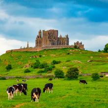 Idílico paisaje irlandés, Roca del castillo de Cashel en segundo plano, condado de Tipperary, Irlanda foto de viaje
