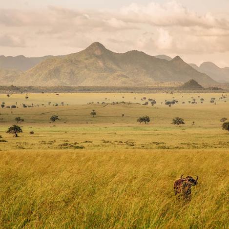 Parque Nacional Valle del Kidepo, Uganda