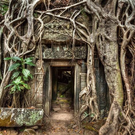 Templo de Ta Prohm, Siem Reap, Camboya