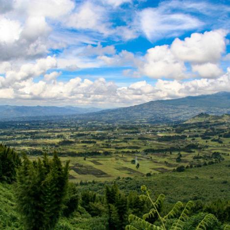 Parque Nacional de los Volcanes, Ruanda