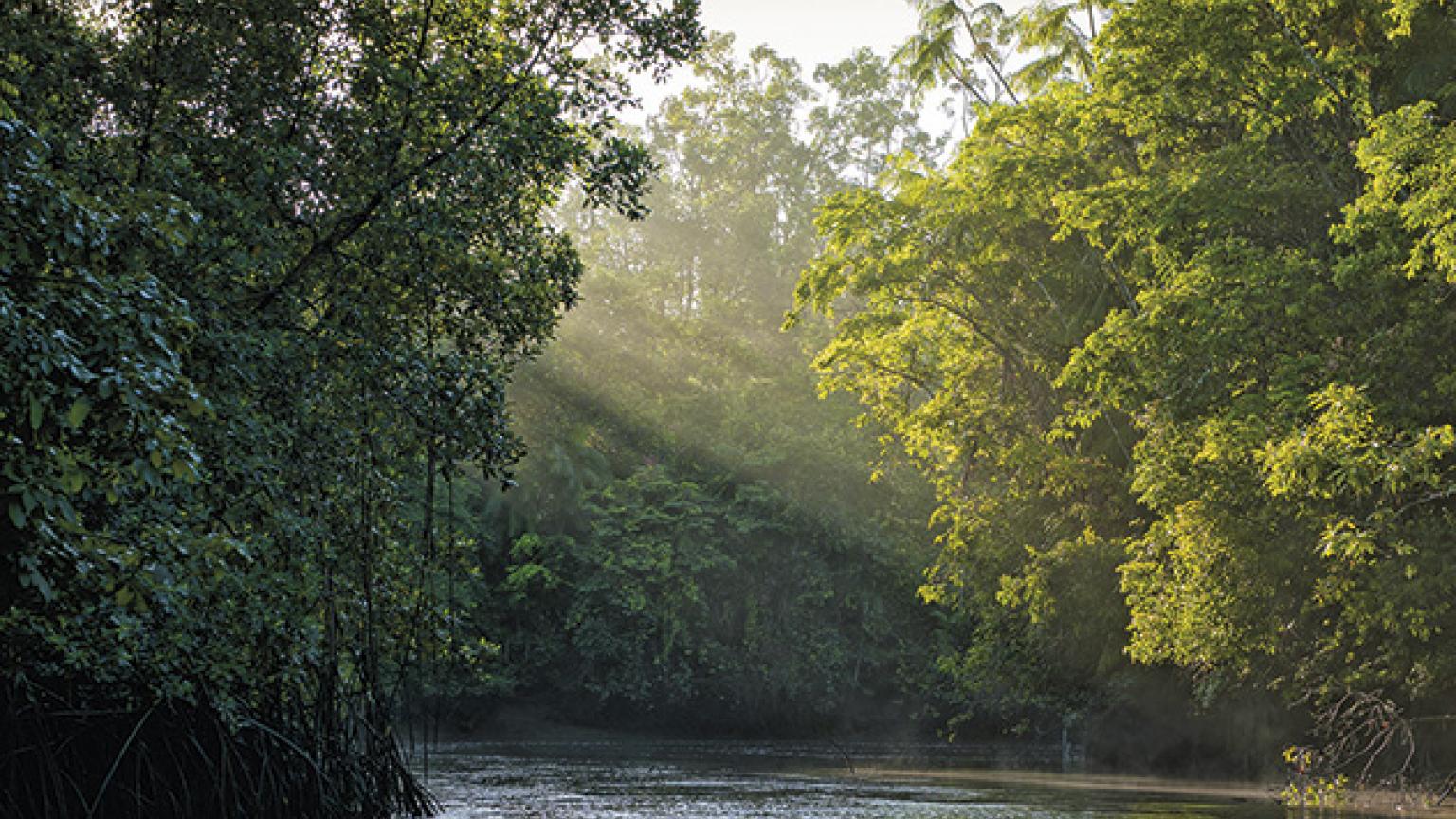 Río Amazonas, Brasil