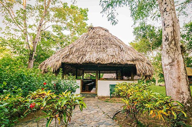 Alojamiento ecológico: Maca River Camp, Belice. Viaje sostenible Lonely Planet