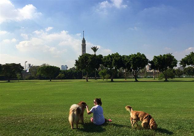 Leah disfrutando del sol en el Gezira Sporting Club, El Cairo, Egipto © Leah Bremer / Lonely Planet
